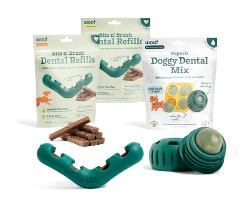 Dental Health