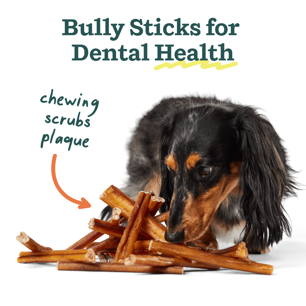 The BullySafe Better Pack - Image 5