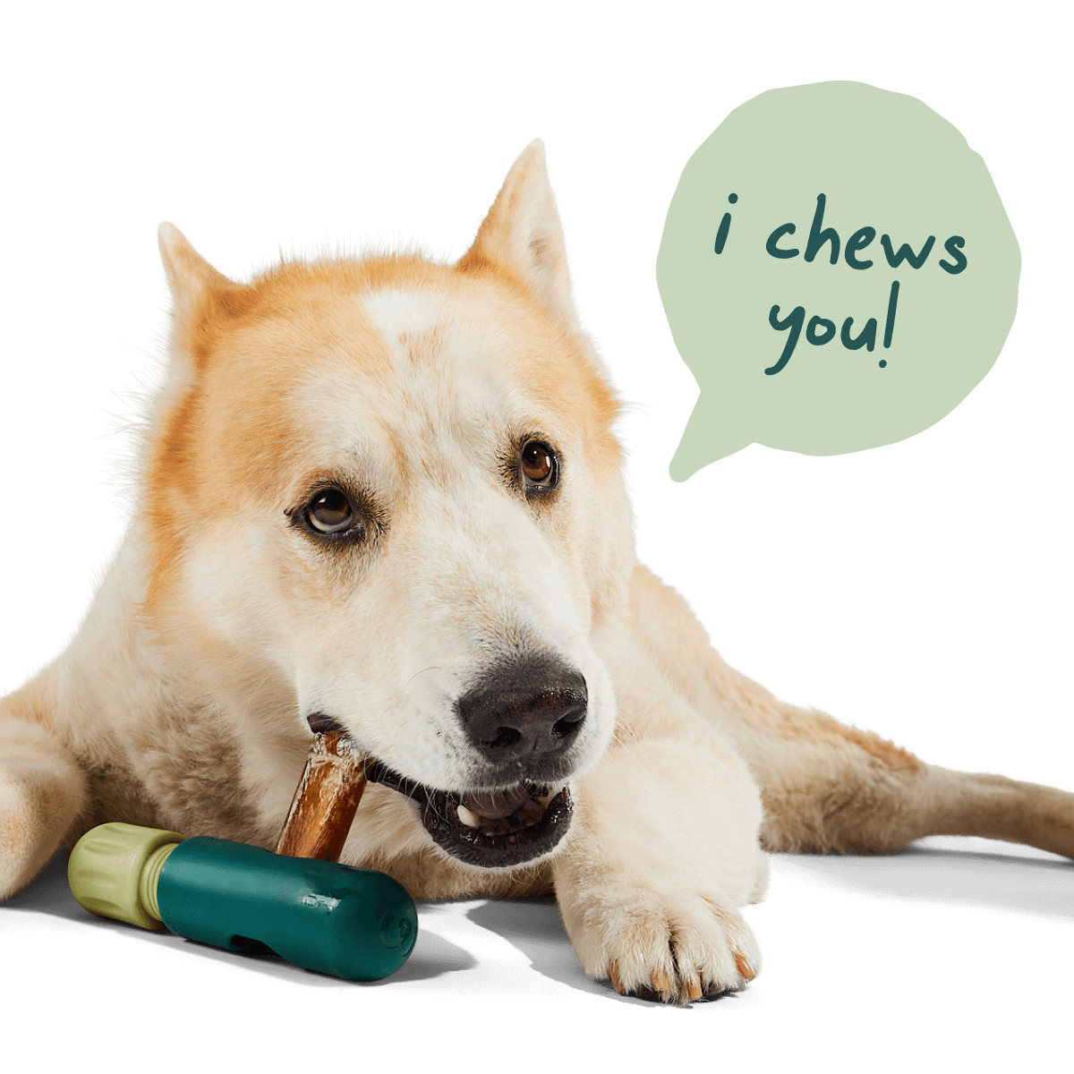 The BullySafe Better Pack - Image 6