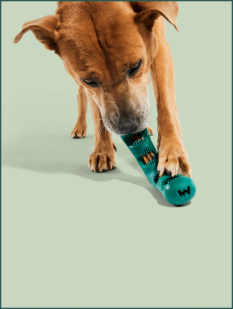 Bite n' Brush