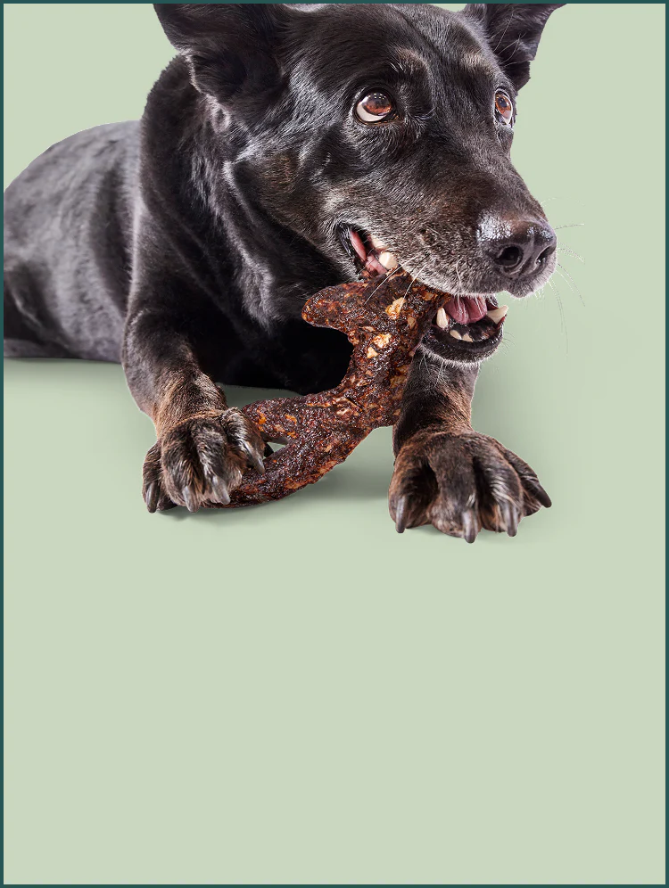HonestChew Meaty
