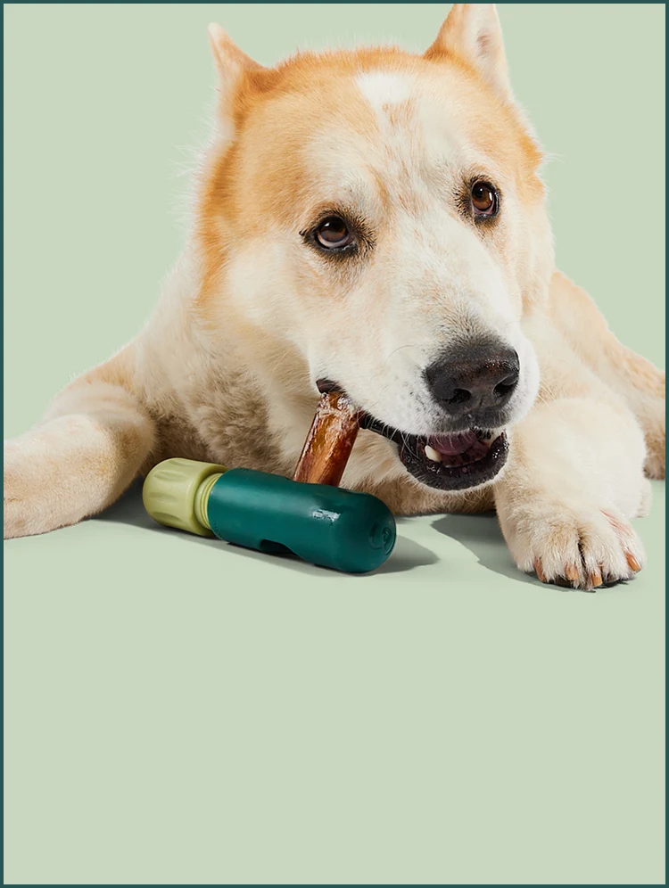 BullySafe