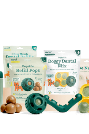 The Ultimate Summer Dental Pack