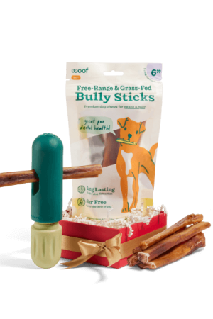 The BullySafe Starter Pack