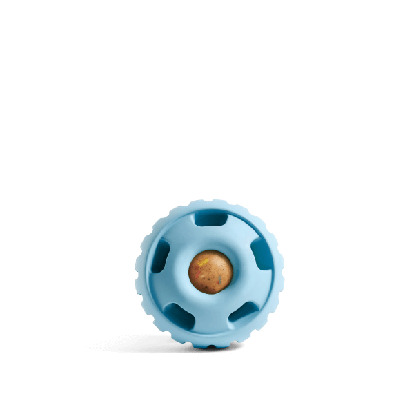 Pupsicle - Image 8