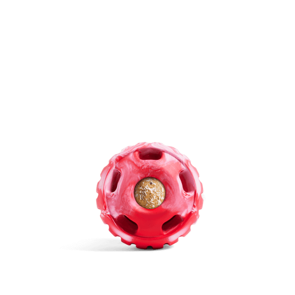 Pupsicle - Image 10
