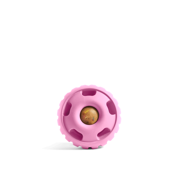 Pupsicle - Image 7