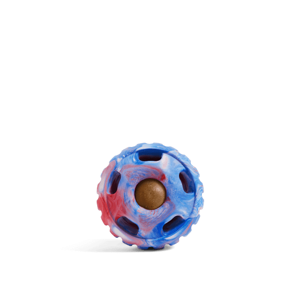 Pupsicle - Image 9