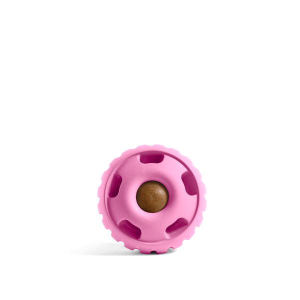 Pupsicle - Image 5