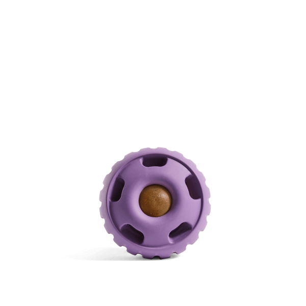 Pupsicle - Image 3