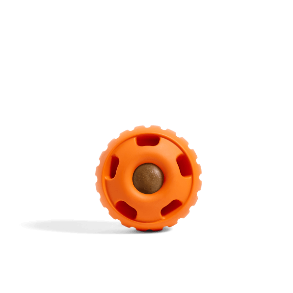 Pupsicle - Image 2