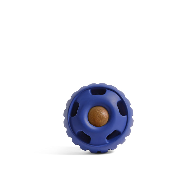 Pupsicle - Image 6